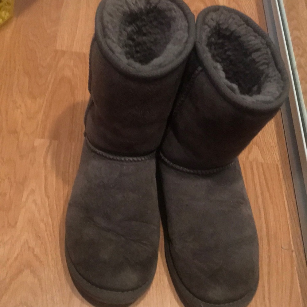 Grey short boot uggs
